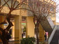 Ξυλοδαρμός μαθητή από ομάδα ατόμων στο 1...