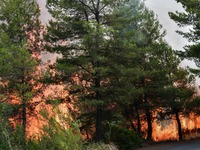 Μικρές αναζωπυρώσεις σε Γορτυνία και Ηλε...