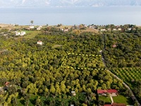 Πωλούνται αγροτεμάχια στην Αιγιάλεια