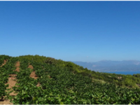 Οινοξένεια 2022- Εκδήλωση στην Άνω Ζήρια...