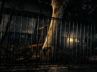 Αγρίνιο: Αναστάτωση σε παιδότοπο- Ανήλικ...