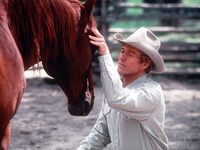 Ο ρομαντικός "Γητευτής των αλόγων&q...