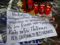 Καπραβέλος: Ο Άλκης ήρθε νεκρός στο νοσο...