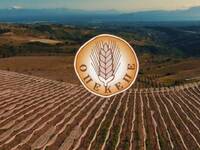 Αγροτικές αποζημιώσεις: Πιστώνονται στου...