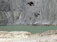 Θεόδωρος Μπαρής: Τι προτείνει για τον φο...