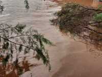 Εύβοια: Ελπίζουν σε ένα θαύμα για τον κτ...