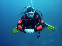 National Geographic: H Αλόννησος στην κο...
