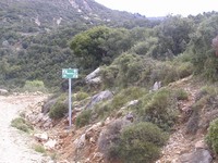 Χάθηκαν στο Πουρναρόκαστρο Πατρών - Τους...