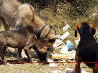 Φοιτητές Ιατρικής Πάτρας: Η κατάσταση με...
