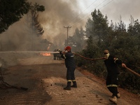 Αρκαδία: «Να φτάσει ό,τι μέσο υπάρχει»- ...