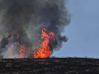 Φωτιά στη Ριτσώνα: Μια σύλληψη για εμπρησμό 
