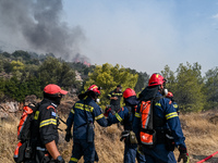 Φωτιά στην Πάρνηθα: Μάχη με τις αναζωπυρ...