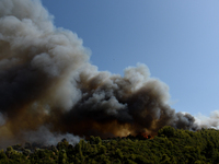 Φωτιά Ζήρια: «Καίγεται ένα σπίτι μπροστά...