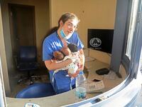 Βηρυτός: Ηρωίδα μαία σώζει τρία μωρά μετ...