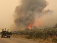 Φωτιά στον Έβρο: 15η μέρα μάχης με τις φλόγες
