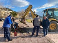Φυτεύτηκαν στη Ψανή Ναυπάκτου τα πρώτα δ...