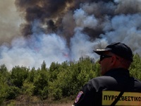 Υπό έλεγχο η πυρκαγιά στην Καλόγρια- Έφτ...