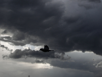 Κακοκαιρία Genesis: Σε συναγερμό η Πολιτ...