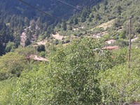 Στα Αγράμπελα Αχαϊας το δημοτικό είναι κ...