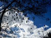 Καιρός σήμερα: Αίθριος στα δυτικά - Σπορ...