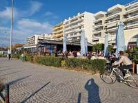 Όλη η Πάτρα χάρηκε «ήλιο με δόντια» στις...