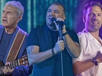 Νταλάρας κατά Ρέμου και Αργυρού: Η σύγκρ...