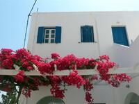 Αιγαίο Πέλαγος: Γιατί είναι γαλανόλευκα ...