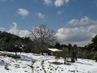 Καιρός: Μήνυμα του 112 σε Αττική, Βοιωτί...