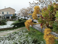 Ο "Φίλιππος" έφερε ιστορικό χα...