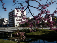 Πάτρα: Συνεχίζεται ο «θερμός» Απρίλιος- ...