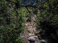 55χρονος εκπαιδευτικός ο νεκρός στη Φιγα...