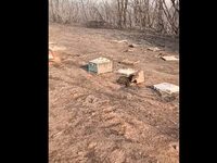 Έβρος - Βίντεο: Συγκινεί μελισσοκόμος πο...