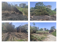 Πάτρα: Πώς φτάσαμε στη φωτιά της Αγυιάς ...