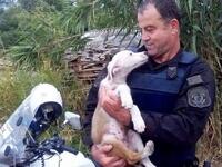 Πάτρα: O Ανδρεας Κάππος δε σώζει μόνο......