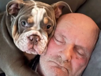 Κουτάβι έφαγε το δάχτυλο του ιδιοκτήτη τ...