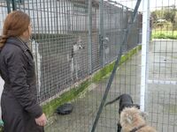 Πάτρα: Τα παιδιά του  34ου Νηπιαγωγείου ...