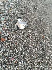 φωτο fb Άγγελος Κωνσταντίνου