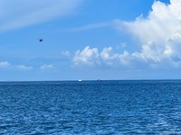 Πάτρα: Τραγική κατάληξη για τον 44χρονο ...