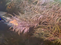 Πάτρα: Αυτοκίνητο στην κοίτη του Μείλιχο...