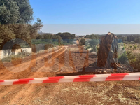 Ραφήνα: Συνελήφθη 46χρονος για τη δολοφο...