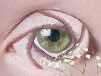 Ξεκινά αύριο το 8ο Διεθνές ταυτόχρονο Φε...