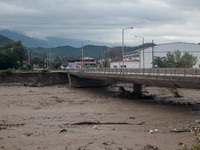 Καρδίτσα: "Φέρετρα με νεκρούς βγήκα...