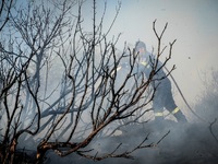 Φωτιά από κεραυνό στο Γεράκι Ηλείας