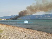 Ναύπακτος: Πυρκαγιά κοντά στο βιολογικό καθαρισμό