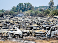 Φωτιά στην Αχαΐα: Κάηκαν ολοσχερώς 550 ο...