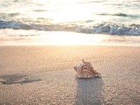 Τα 3 τυχερά ζώδια για το καλοκαίρι του 2025