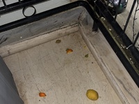 Πάτρα- Τερψιθέα: Όταν πέφτει η νύχτα, εκ...