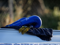 Τα γάντια του πυγμάχου- ΔΕΙΤΕ ΦΩΤΟ από τ...