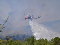 Φωτιά-Εύβοια: «Δεν είδαμε ποτέ πυροσβεστ...
