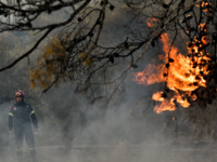 Δύσκολη νύχτα για την Πυροσβεστική: «Μάχ...
